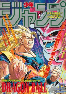 No. 17 · 1995
